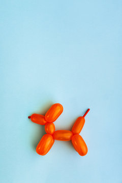 Balloon dog