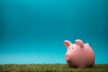 Piggy bank on green grass and blue sky 