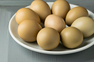 A group of pheasant eggs in a white plate on a gray wooden background