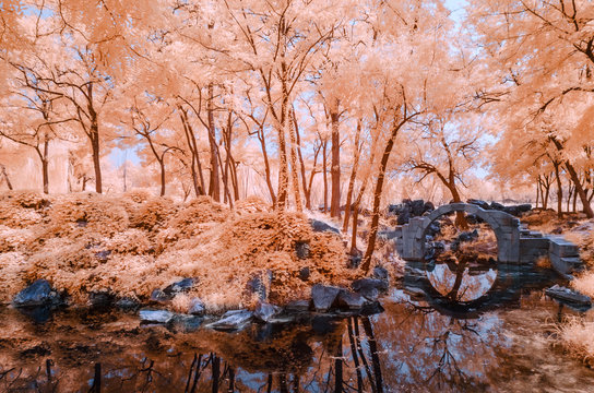The trees in the old Summer Palace of Beijing,in infrared light