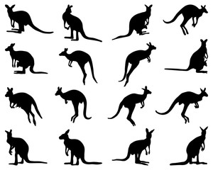 Black silhouettes of kangaroo on a white background