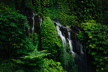 little waterfall in tropical green rainforest