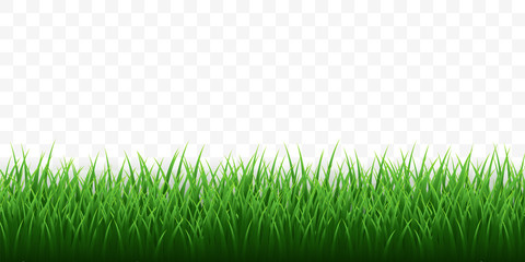Green grass border set on transparent background. Vector Illustration