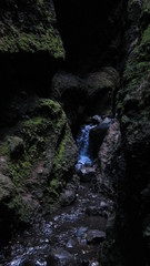 Obraz premium waterfall in the forest