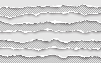 Horizontal torn paper edge. Ripped squared horizontal white paper strips. Vector illustration