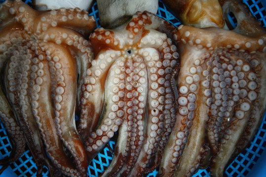 Three octopi in a plastic basket with their tentacles on display