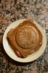Toasted sandwich on plate on counter