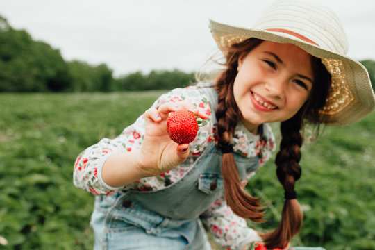 Portrait of smiling girl holding strawberry in field - Powered by Adobe
