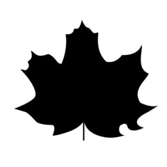 maple leaf symbol