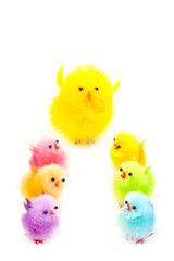 Easter chicks