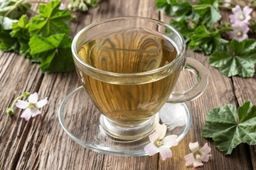 A cup of mallow tea with fresh dwarf mallow plant