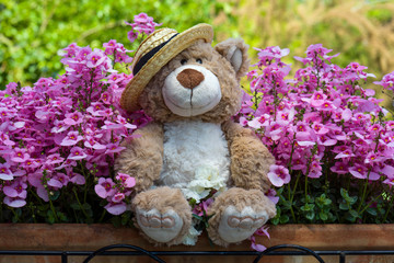 ein Teddy sitzt in einem Blumenkasten
