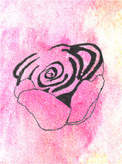 watercolor rose color