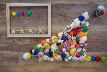 sea shells in groups with a frame and star fish