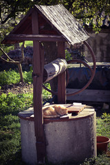 Well well well... a sunbathing kitty 