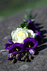 White rose and purple desert lilies or also called prairie bell on stone.