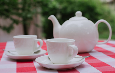 White tea service for two. Tea pair with a teapot and a milk jug on a bright multi-colored checkered tablecloth