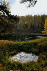 Fototapeta premium lake in autumn forest