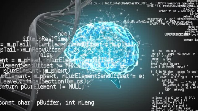 Human brain, DNA helix and interface codes