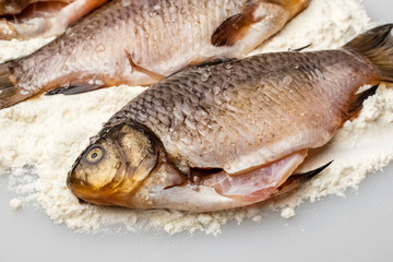 Fresh crucian fish with coarse salt in flour on a white cutting board. Cooking, close up. Copy space