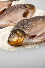 Fresh fish crucian with coarse salt. Cooking, close up. Copy space