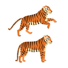 Fototapeta na wymiar Illustration of wild tiger isolated on white background. Standing and running tiger cartoon style animal vector illustration