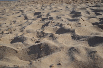 sand close up