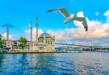 Ortakoy mosque and Bosphorus bridge, Istanbul, Turkey