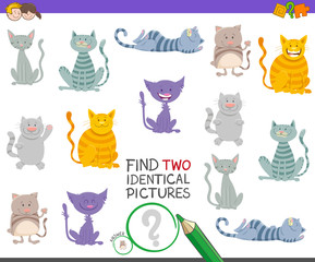 find two identical cats task for children