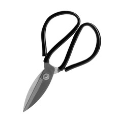 Pair of craft scissors on white background