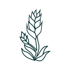 Flower Leaf Illustration Design Template Vector