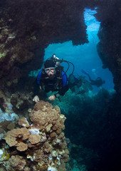 Naklejka na ściany i meble A diver explores the cracks, crevices and holes in a coral reef.