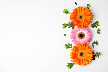 Flat lay composition with beautiful bright gerbera flowers on white background. Space for text