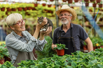 Happy workers having fun with small kitten in flower plant nursery,