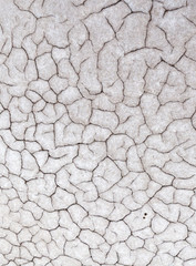 Gray dry soil or cracked ground texture background. Takyr