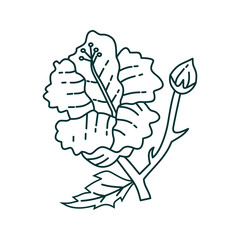 Flower Leaf Illustration Design Template Vector