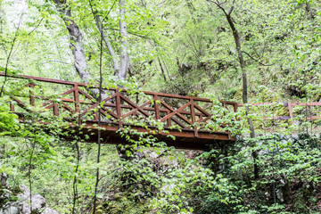 old wooden bridge in deep forest, natural vintage background - 270695067