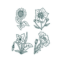 Flower Leaf Illustration Design Template Vector