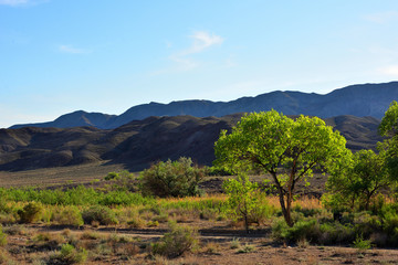 Desert landscape surrounding Singing Dune in Altyn-Emel