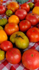 fresh tomatoes on a table at a farmers market