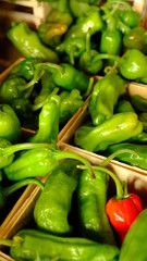 green peppers with one red pepper