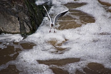 Finlandia - Helsinki