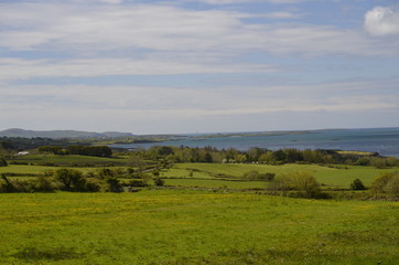Obraz premium landscape with green field and blue sky