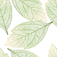 Naklejka na ściany i meble Seamless pattern with colored leaves. Vector, EPS 10.