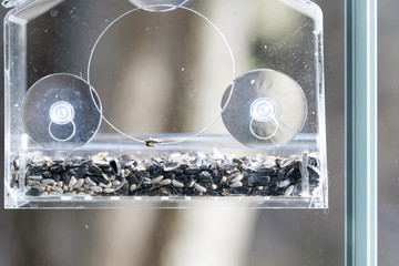One empty glass plastic bird feeder with suction cups against window closeup in with bokeh background in Virginia and sunflower seeds