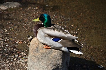 Finlandia - Helsinki