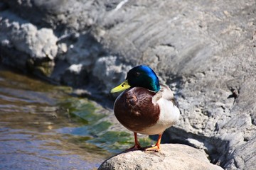 Finlandia - Helsinki