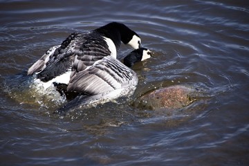 Finlandia - Helsinki