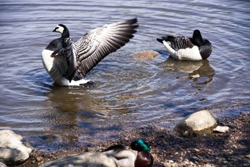Finlandia - Helsinki