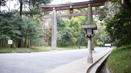 Pov walking by Meiji shrine entrance street road with tourist people walking in Tokyo with green tree foliage during spring by lantern and gate